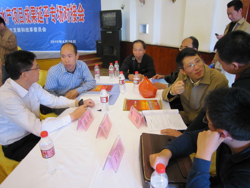 企业代表与OD(中国)一站式服务平台教授现场交流